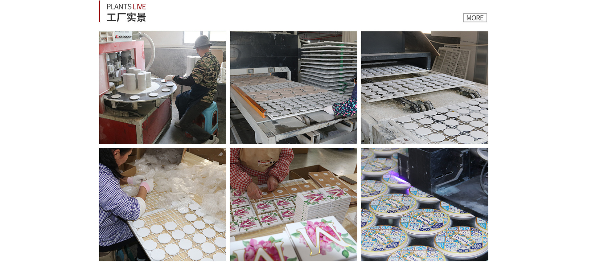 TianTianHong Coaster